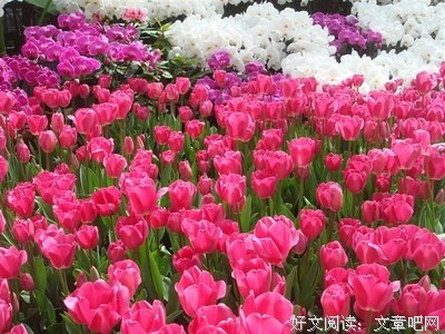 色彩缤纷的句子