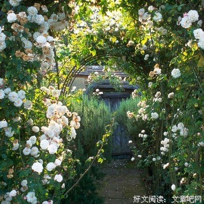 夜读：生活最舒服的状态，就是做真实的自己