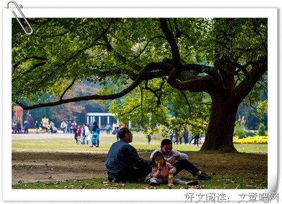 《上海探戈》观后感精选10篇