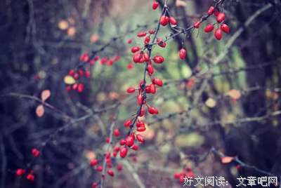 【每日灵修】当顺从圣灵而行