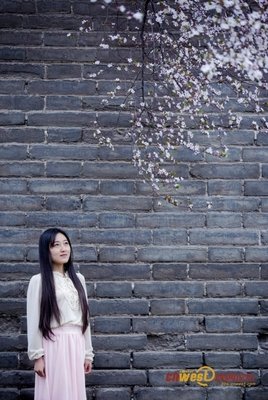 《旧城，旧事》的句子