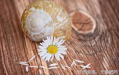 别忘了,你要活给自己看!