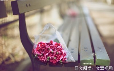 晚安心语：爱是什么呢？