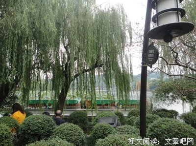 《柏卢曰》经典句子