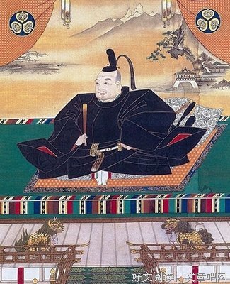 《德川家康》观后感10篇