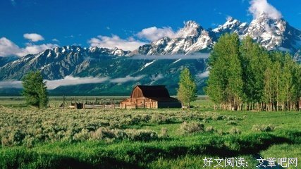 你不勇敢，没人会替你坚强