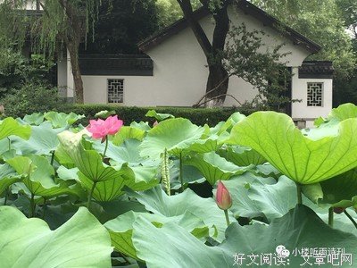古韵悠悠经典名句