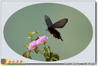 小山后我第自己～句子