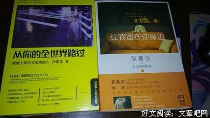 大冰的句子