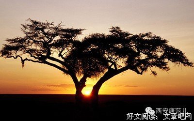 梦中人名句欣赏
