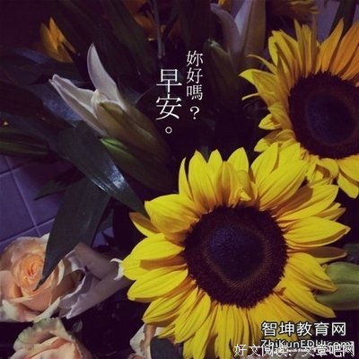 爱的的优美句子