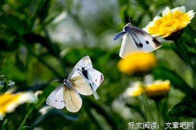 关于许佳的座右铭