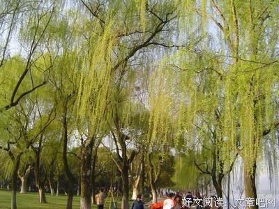 15条关于游山的经典语句