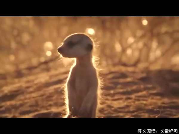 关于蒙哥的座右铭