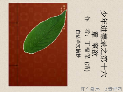 最新的《亵渎》语录摘抄