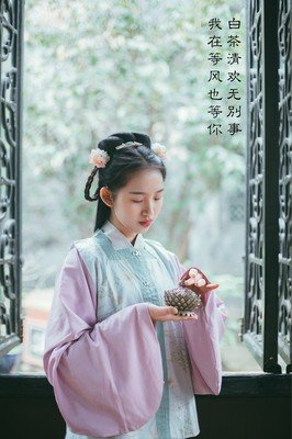 《等风来》经典语录