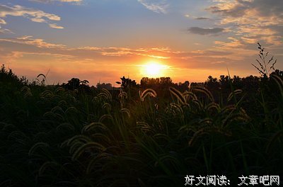 《归途如虹》影评10篇