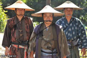 《葵 德川三代》观后感10篇