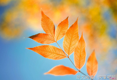 心底经典的句子