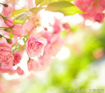 潇洒的句子