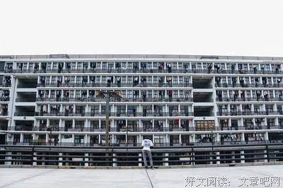 别去怀念了，别再失眠了