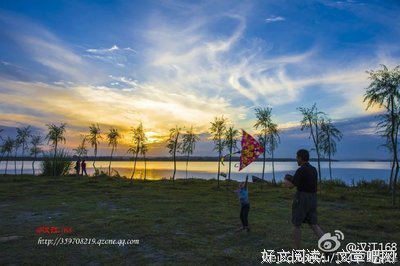 最全的《终物语》经典名句