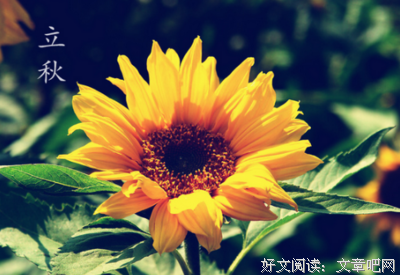 “早立秋，冷飕飕，晚立秋，热死牛”，今年是早立秋还是晚立秋？