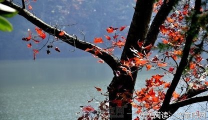 一曲《秋日私语》, 真好听