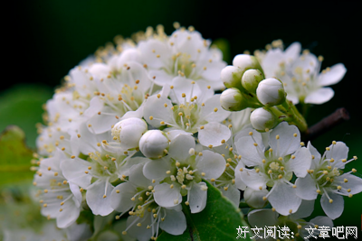 心灵惯性的破解方式竟然是.......