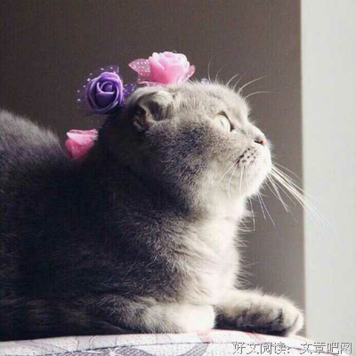 关于八度余温。的句子