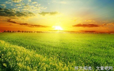 有关温暖的句子