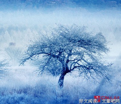 伤感经典名句