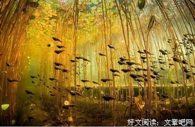 就十第有一句将去你心痛经典的句子