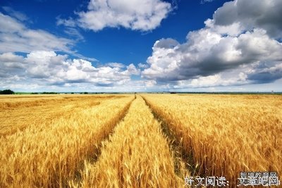 牽牛花集句子