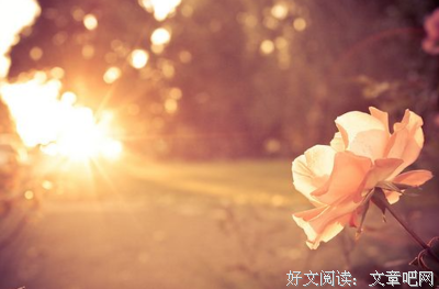 关于平和的座右铭