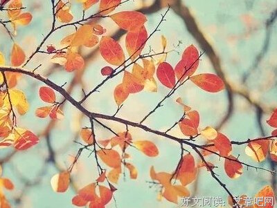 青春、留恋的优美句子