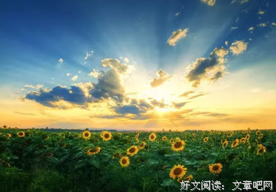 生命好词好句