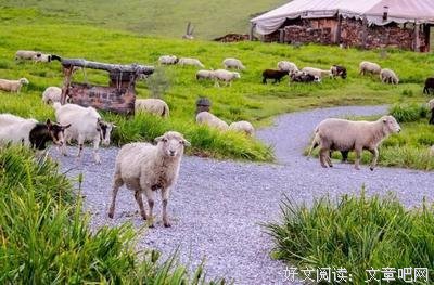 “你能不能别发朋友圈了？”