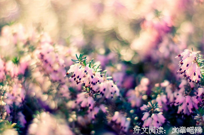 青春感动经典的句子