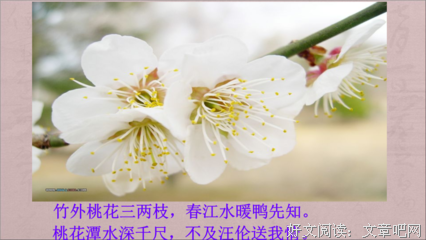 寒憎名句欣赏