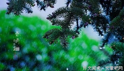 《听雨》的句子