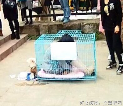 “裸奔算什么，要把青春留给身边最真心的姑娘！！！”