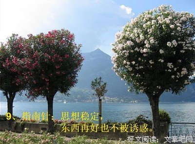 《美图吧》经典语句