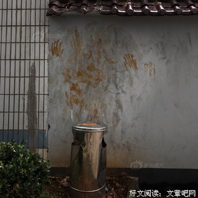 青春何处安放经典读后感10篇