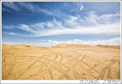 遇见未知的自己读后感10篇