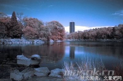 出轨回归家庭的男人，为何又控制不住的第三者藕断丝连？