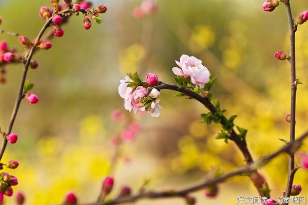 常想一二，不思八九