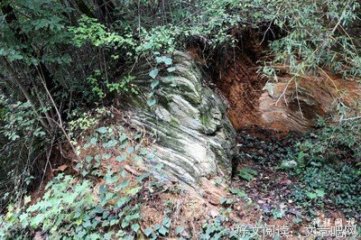 《天坑》的读后感10篇