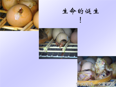 执拗格言警句