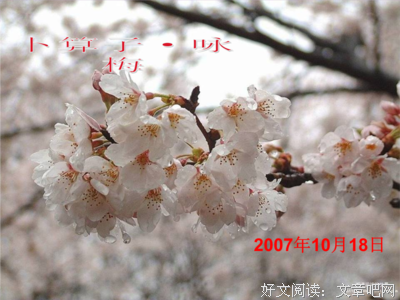 铁马冰河的名人名言